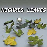 Leaves Set High Resolution