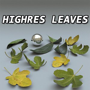 Leaves Set High Resolution