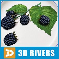 Blackberry by 3DRivers