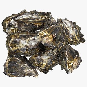 Oyster 02 Pile