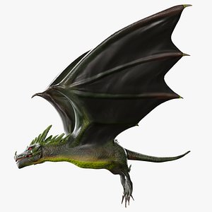 Crystal Dragons
