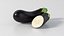 Realistic Eggplant