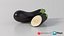 Realistic Eggplant