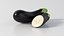 Realistic Eggplant
