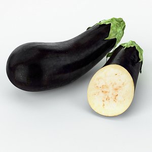 max realistic eggplant real vegetables
