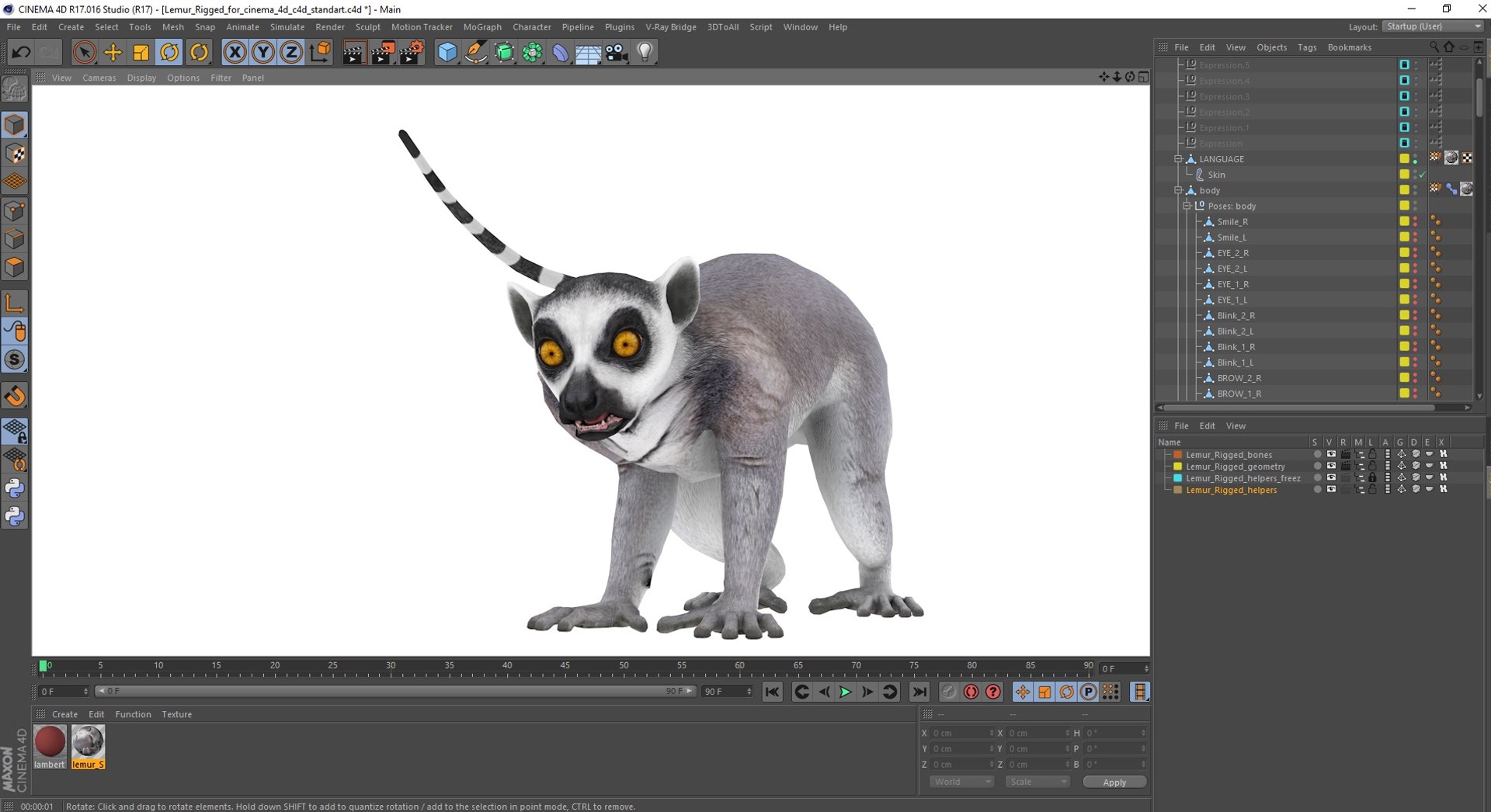 Lemur Rigged for Cinema 4D model https://p.turbosquid.com/ts-thumb/Z5/RV9pnF/7b/lemurriggedforcinema4dc4dmodel045/jpg/1711421563/1920x1080/fit_q87/6ae8865bfbcafff2ad529f0bf12ce24044c72ec9/lemurriggedforcinema4dc4dmodel045.jpg