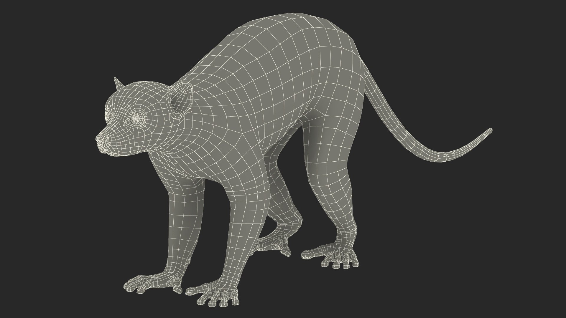 Lemur Rigged for Cinema 4D model https://p.turbosquid.com/ts-thumb/Z5/RV9pnF/CU/lemurriggedforcinema4dc4dmodel037/jpg/1711421529/1920x1080/fit_q87/0647edd1f4846f95ee7d5f28b0e832490ce32954/lemurriggedforcinema4dc4dmodel037.jpg