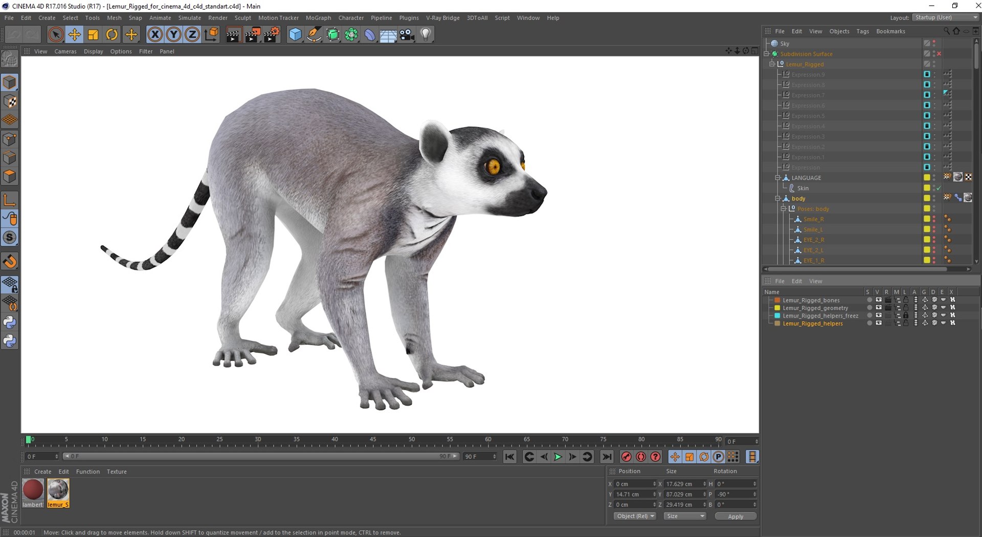 Lemur Rigged for Cinema 4D model https://p.turbosquid.com/ts-thumb/Z5/RV9pnF/EU/lemurriggedforcinema4dc4dmodel042/jpg/1711421550/1920x1080/fit_q87/14b8ce1d64f5b6ef56fac60692f9ad671e9b6492/lemurriggedforcinema4dc4dmodel042.jpg