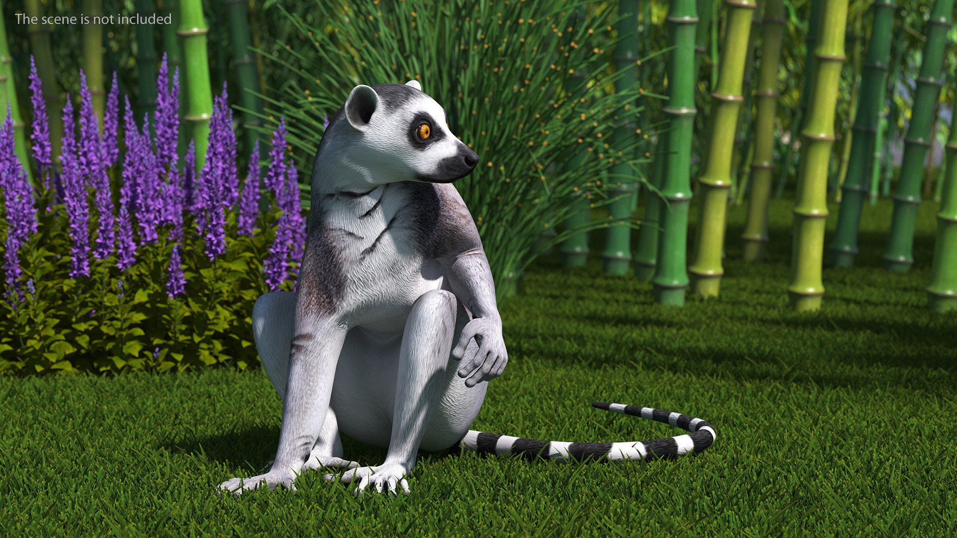 Lemur Rigged for Cinema 4D model https://p.turbosquid.com/ts-thumb/Z5/RV9pnF/Ti/lemurriggedforcinema4dc4dmodel011/jpg/1711421401/1920x1080/fit_q87/feb9a6874ede0d708ceb1d6b22c9a82e616f8ffa/lemurriggedforcinema4dc4dmodel011.jpg