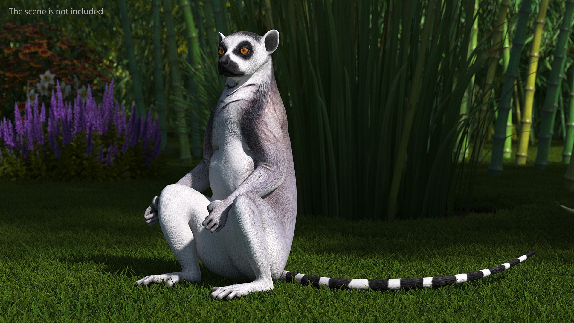Lemur Rigged for Cinema 4D model https://p.turbosquid.com/ts-thumb/Z5/RV9pnF/hh/lemurriggedforcinema4dc4dmodel005/jpg/1711421373/1920x1080/fit_q87/4bcf3bd6b0a2f758dd3e1b33af16dcab11b07dce/lemurriggedforcinema4dc4dmodel005.jpg