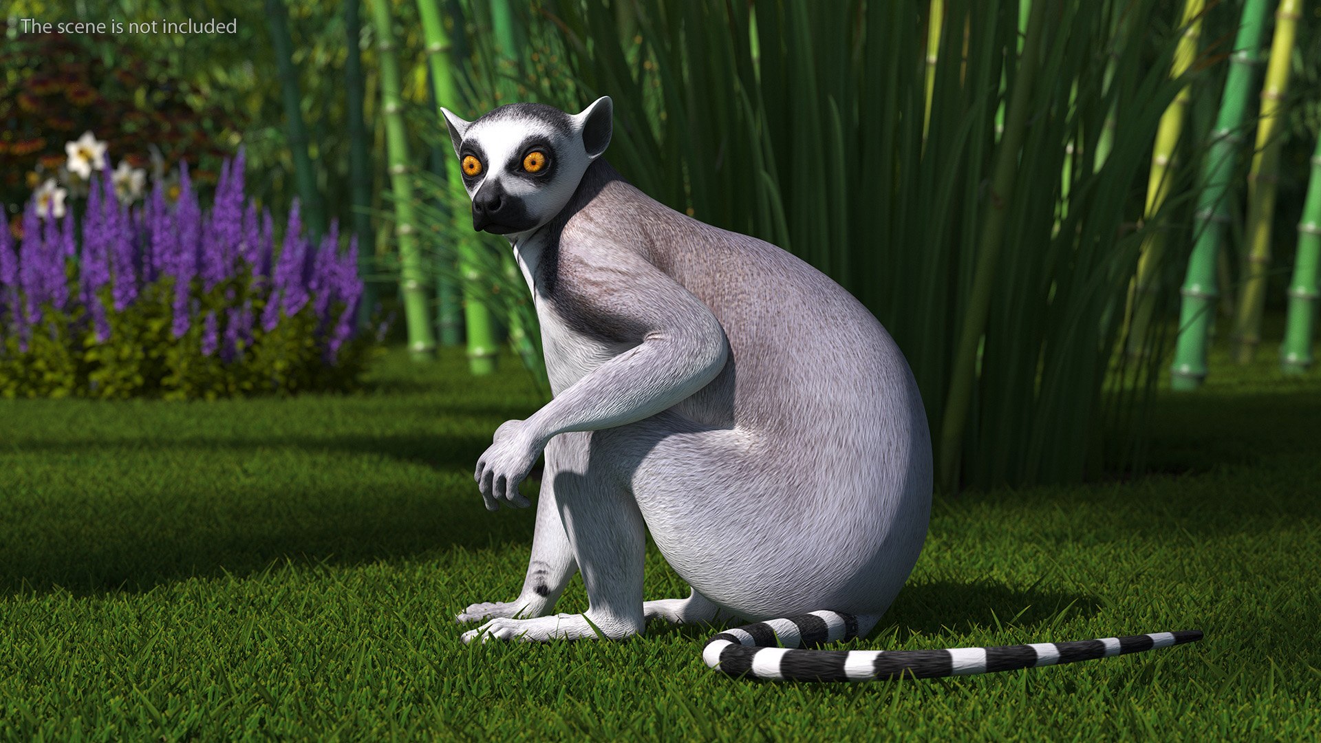 Lemur Rigged for Cinema 4D model https://p.turbosquid.com/ts-thumb/Z5/RV9pnF/lo/lemurriggedforcinema4dc4dmodel006/jpg/1711421378/1920x1080/fit_q87/e6f3414c76a2d98cd67dcacacab919da753bd1d0/lemurriggedforcinema4dc4dmodel006.jpg