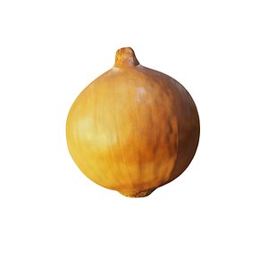 3D onion model
