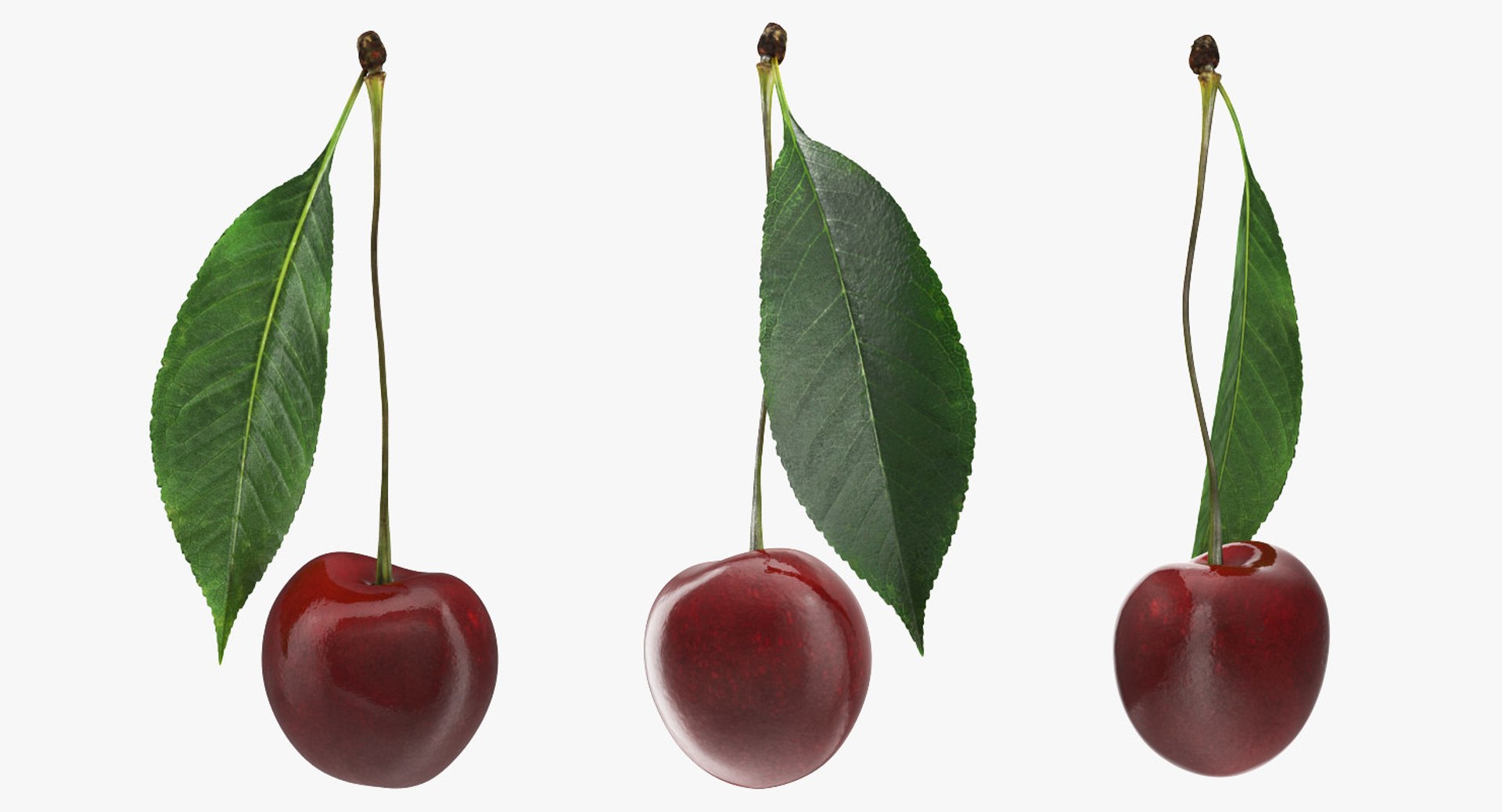 3D Fruits Collection 9 model https://p.turbosquid.com/ts-thumb/Z5/WHxXP1/9N/fruitscollection9mb3dmodel105/jpg/1649716732/1920x1080/fit_q87/803af91b252e66c4bacf578b30785cd8bce20838/fruitscollection9mb3dmodel105.jpg