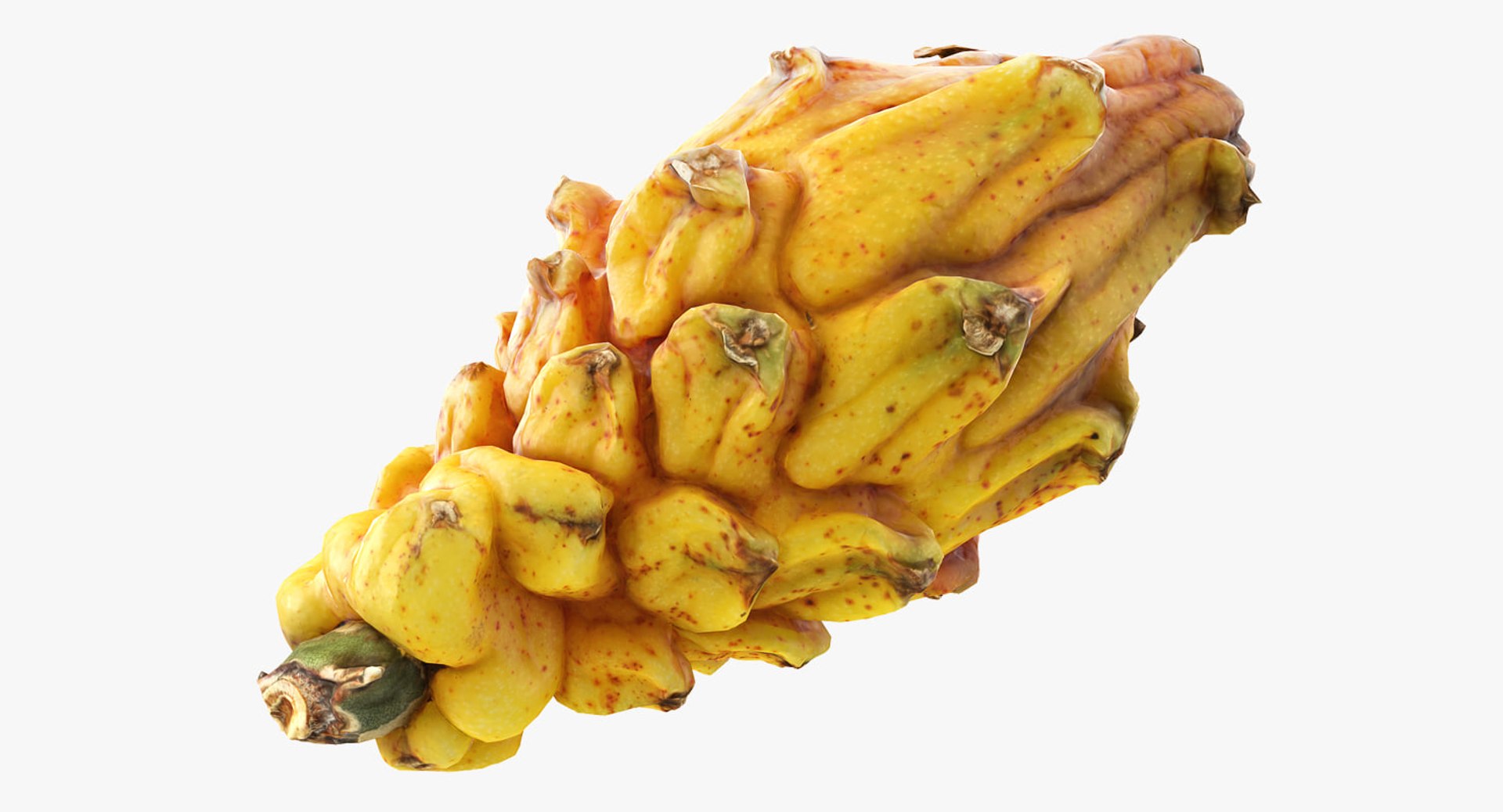 3D Fruits Collection 9 model https://p.turbosquid.com/ts-thumb/Z5/WHxXP1/Cc/fruitscollection9mb3dmodel137/jpg/1649716817/1920x1080/fit_q87/d533b96bdf640a66600c673693b3b0f3884f491f/fruitscollection9mb3dmodel137.jpg