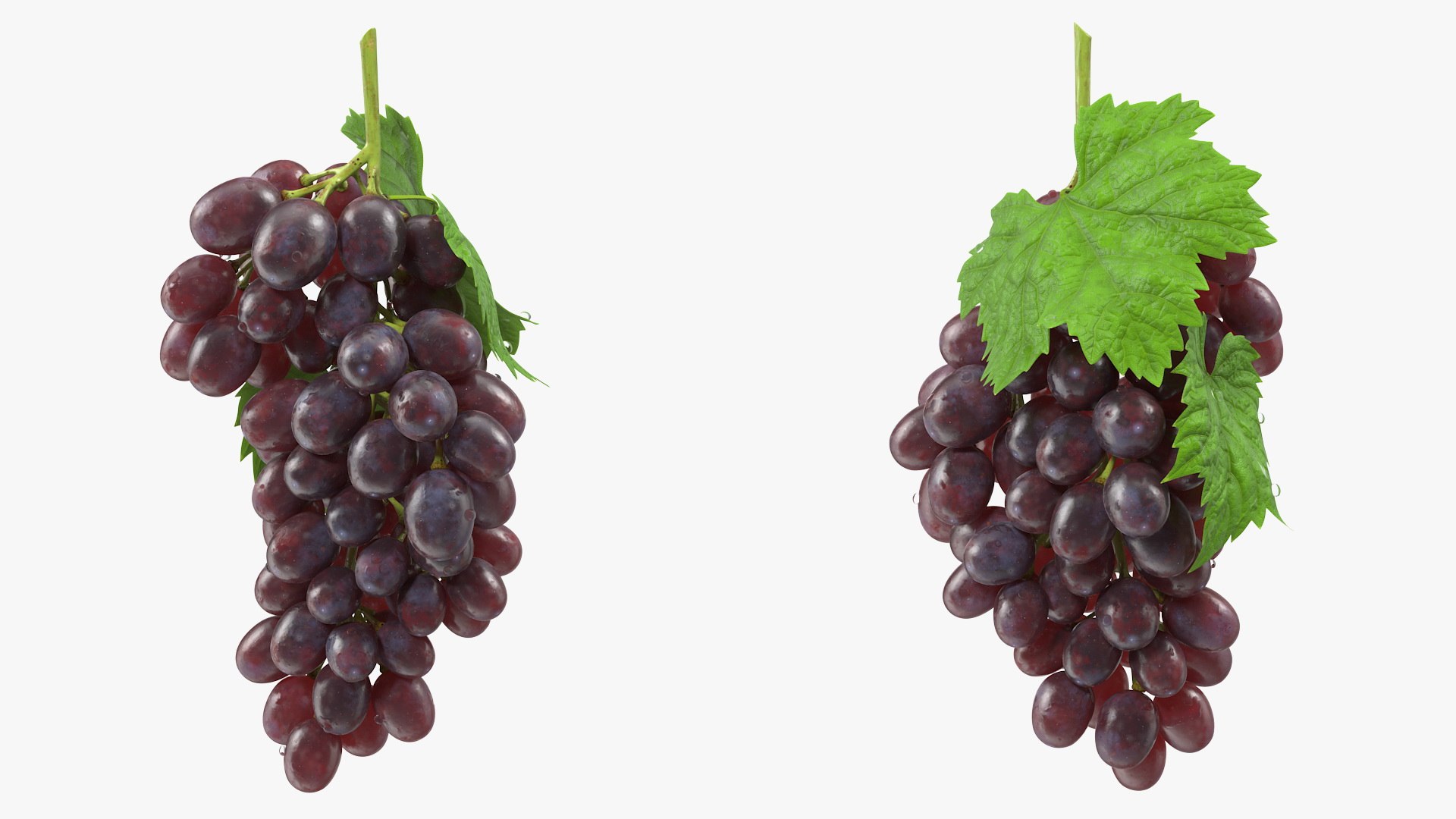 3D Fruits Collection 9 model https://p.turbosquid.com/ts-thumb/Z5/WHxXP1/Ix/fruitscollection9mb3dmodel031/jpg/1649716534/1920x1080/fit_q87/d5dabdd07161069623600fe08433b67ce4529a9c/fruitscollection9mb3dmodel031.jpg
