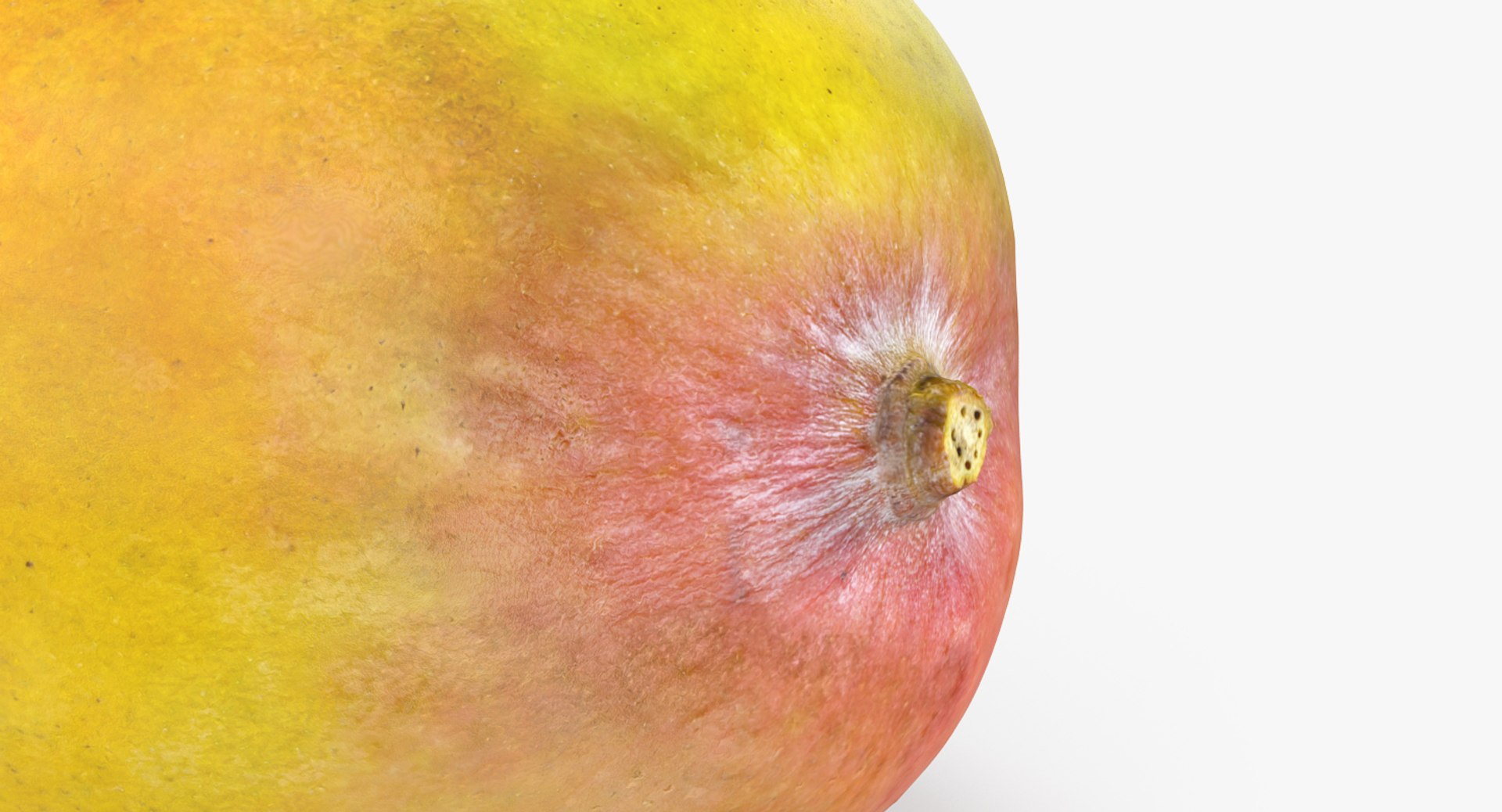 3D Fruits Collection 9 model https://p.turbosquid.com/ts-thumb/Z5/WHxXP1/XJ/fruitscollection9mb3dmodel162/jpg/1649716882/1920x1080/fit_q87/14acf06290399db36e16c54b281c81d559f43df8/fruitscollection9mb3dmodel162.jpg