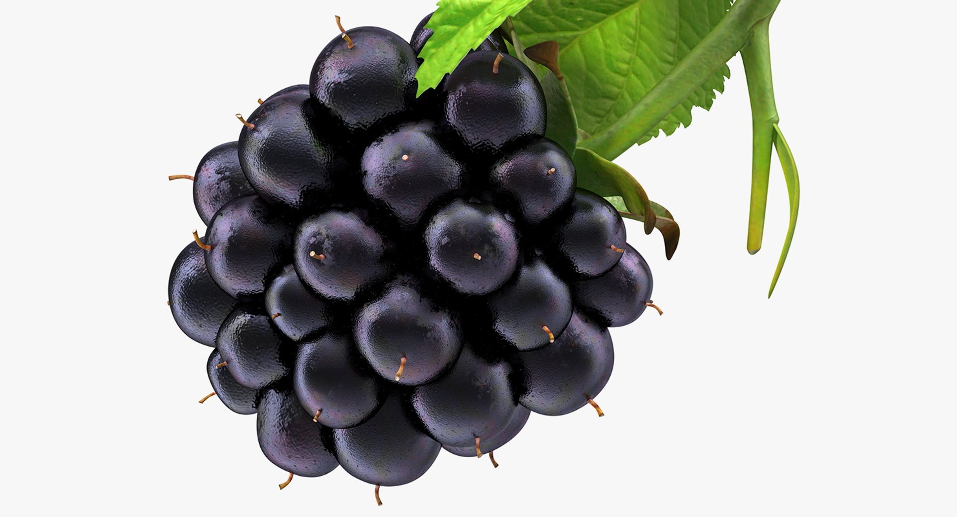 3D Fruits Collection 9 model https://p.turbosquid.com/ts-thumb/Z5/WHxXP1/Ze/fruitscollection9mb3dmodel049/jpg/1649716581/1920x1080/fit_q87/13fd17e25d3a7a7bb72081185f4a06d8db054199/fruitscollection9mb3dmodel049.jpg