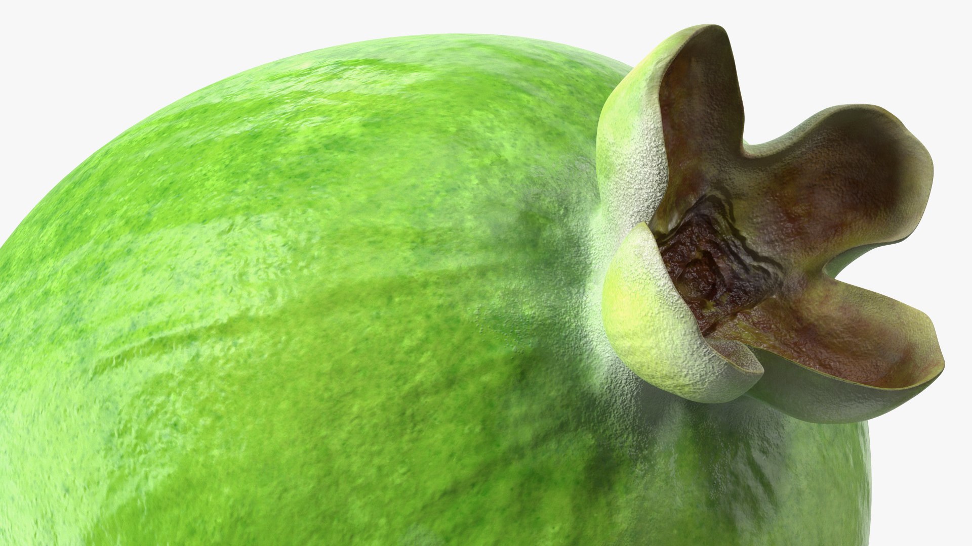 3D Fruits Collection 9 model https://p.turbosquid.com/ts-thumb/Z5/WHxXP1/ki/fruitscollection9mb3dmodel014/jpg/1649716485/1920x1080/fit_q87/4a64d7b02e91a60c6f0927d336531f599e3aa5de/fruitscollection9mb3dmodel014.jpg