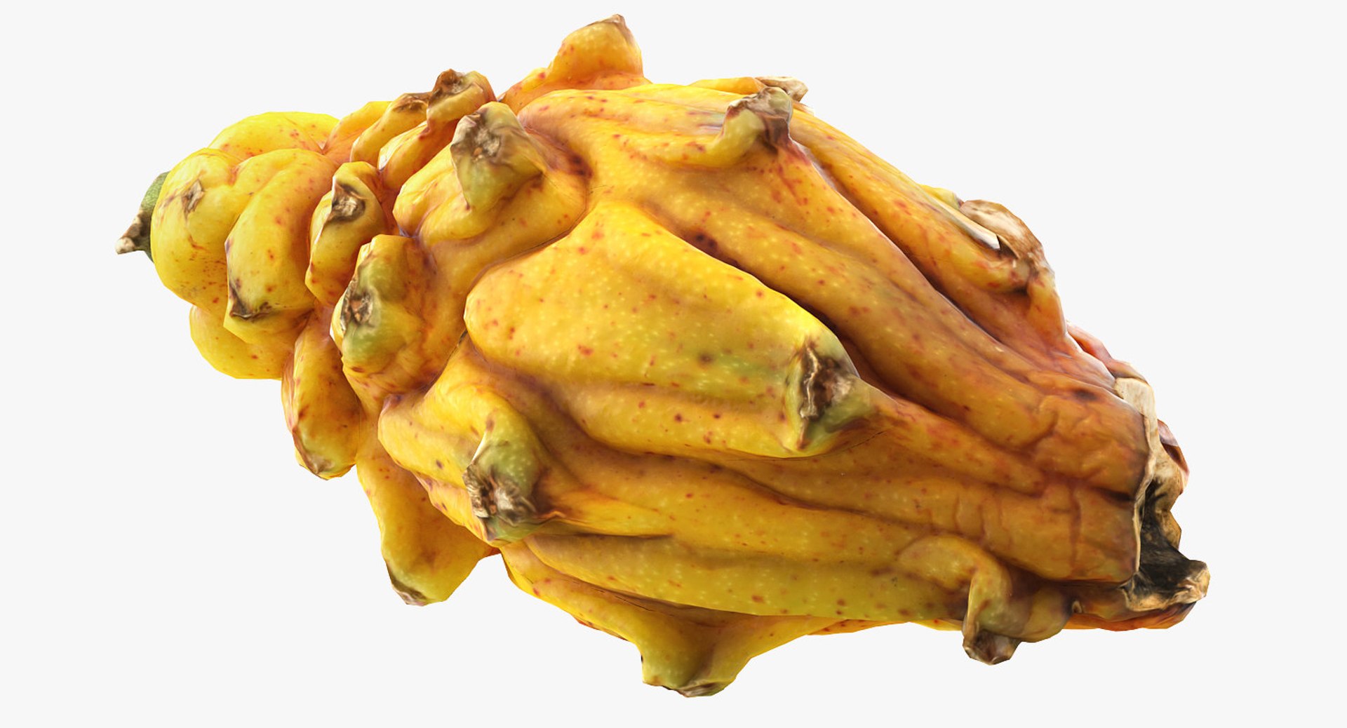 3D Fruits Collection 9 model https://p.turbosquid.com/ts-thumb/Z5/WHxXP1/zH/fruitscollection9mb3dmodel138/jpg/1649716820/1920x1080/fit_q87/0eaf5b3cd983a91b3777420b9c978e595af2d66f/fruitscollection9mb3dmodel138.jpg