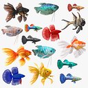 Coleção de Peixes de Aquário 2