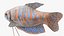 Coleção de Peixes de Aquário 2
