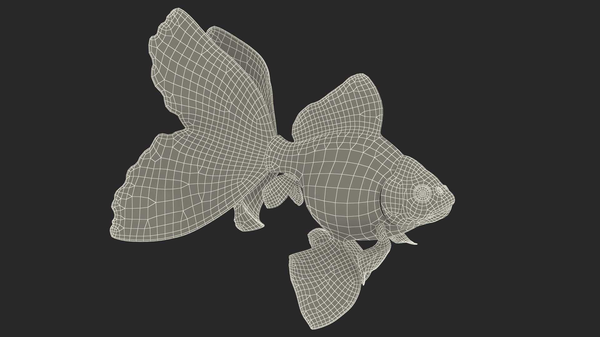 Aquarium Fish Collection 2 3D model https://p.turbosquid.com/ts-thumb/Z5/wUnxAk/aB/aquarium_fish_collection_2_142/jpg/1770125504/1920x1080/fit_q87/5e26fcf73aefd3202fdf36181f2aa78722ce7524/aquarium_fish_collection_2_142.jpg