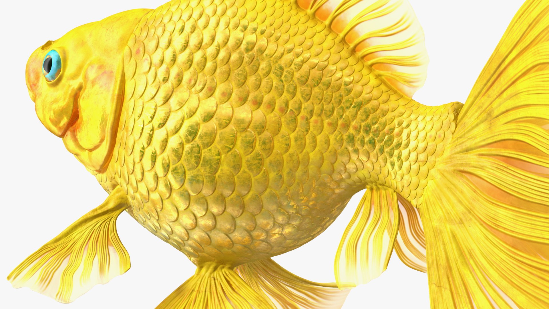 Aquarium Fish Collection 2 3D model https://p.turbosquid.com/ts-thumb/Z5/wUnxAk/h5/aquarium_fish_collection_2_114/jpg/1770125493/1920x1080/fit_q87/278428af82f72951f3899b1f295bbf4eeab35fe0/aquarium_fish_collection_2_114.jpg