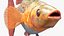 Coleção de Peixes de Aquário 2