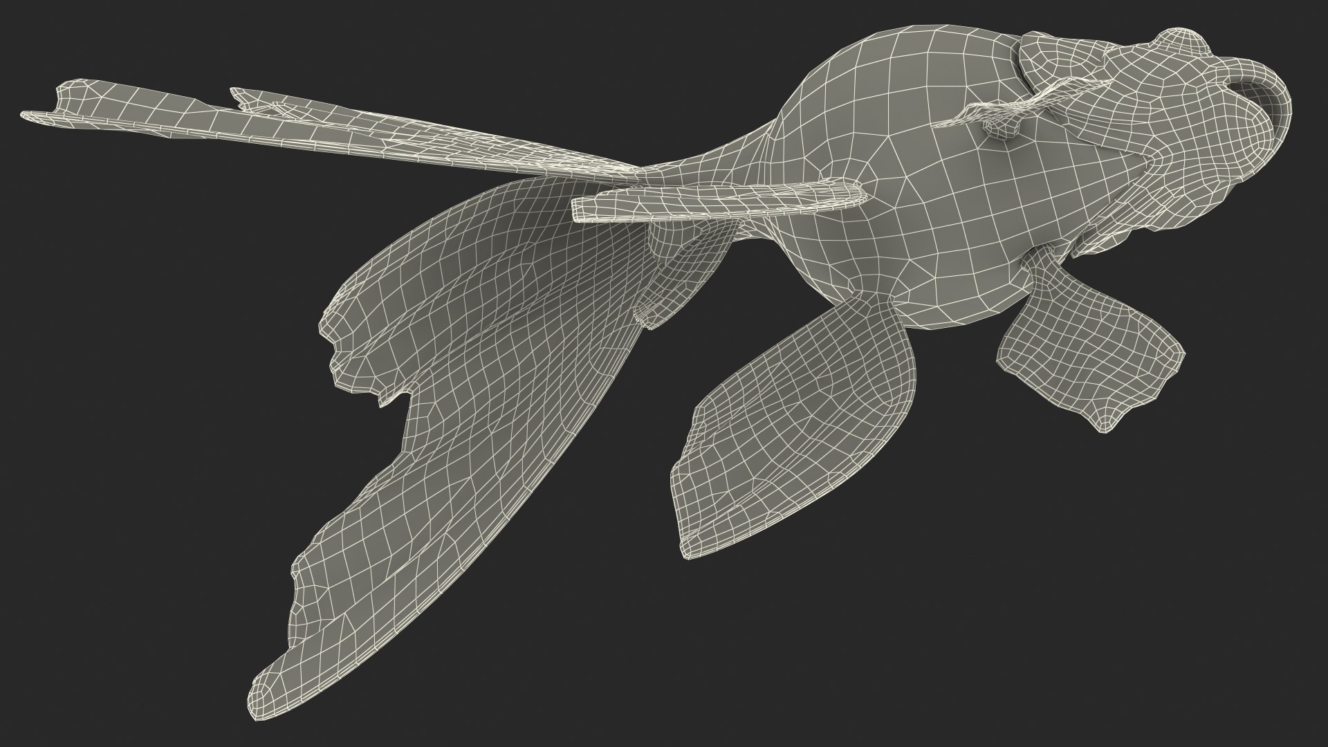Aquarium Fish Collection 2 3D model https://p.turbosquid.com/ts-thumb/Z5/wUnxAk/mJ/aquarium_fish_collection_2_146/jpg/1770125506/1920x1080/fit_q87/988e91d6fe6d17bf6833097b468429a031713aca/aquarium_fish_collection_2_146.jpg