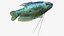 Coleção de Peixes de Aquário 2