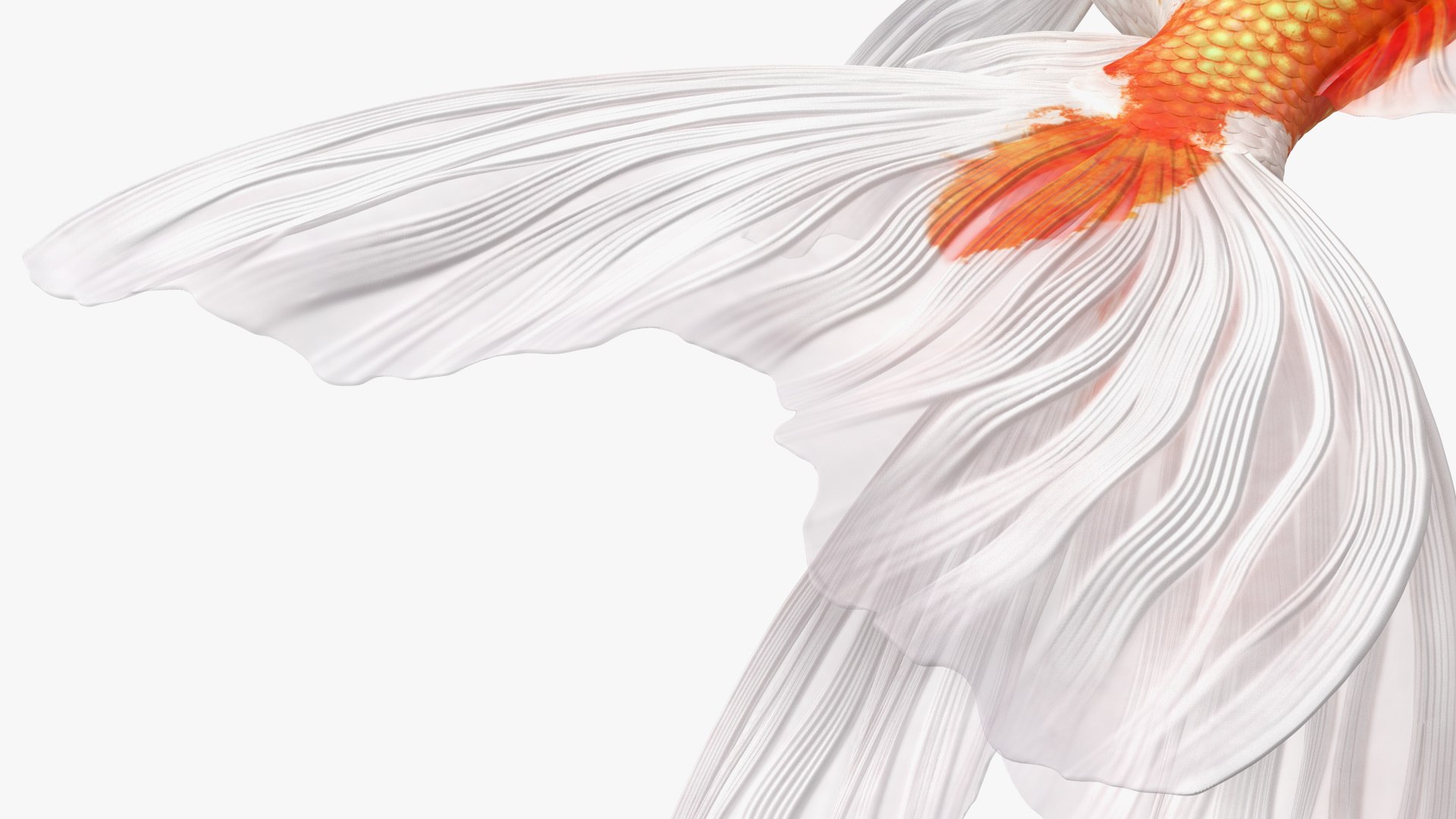Aquarium Fish Collection 2 3D model https://p.turbosquid.com/ts-thumb/Z5/wUnxAk/se/aquarium_fish_collection_2_124/jpg/1770125496/1920x1080/fit_q87/ec4ac0583142768a8bdaf87e282bc5c8922f619b/aquarium_fish_collection_2_124.jpg