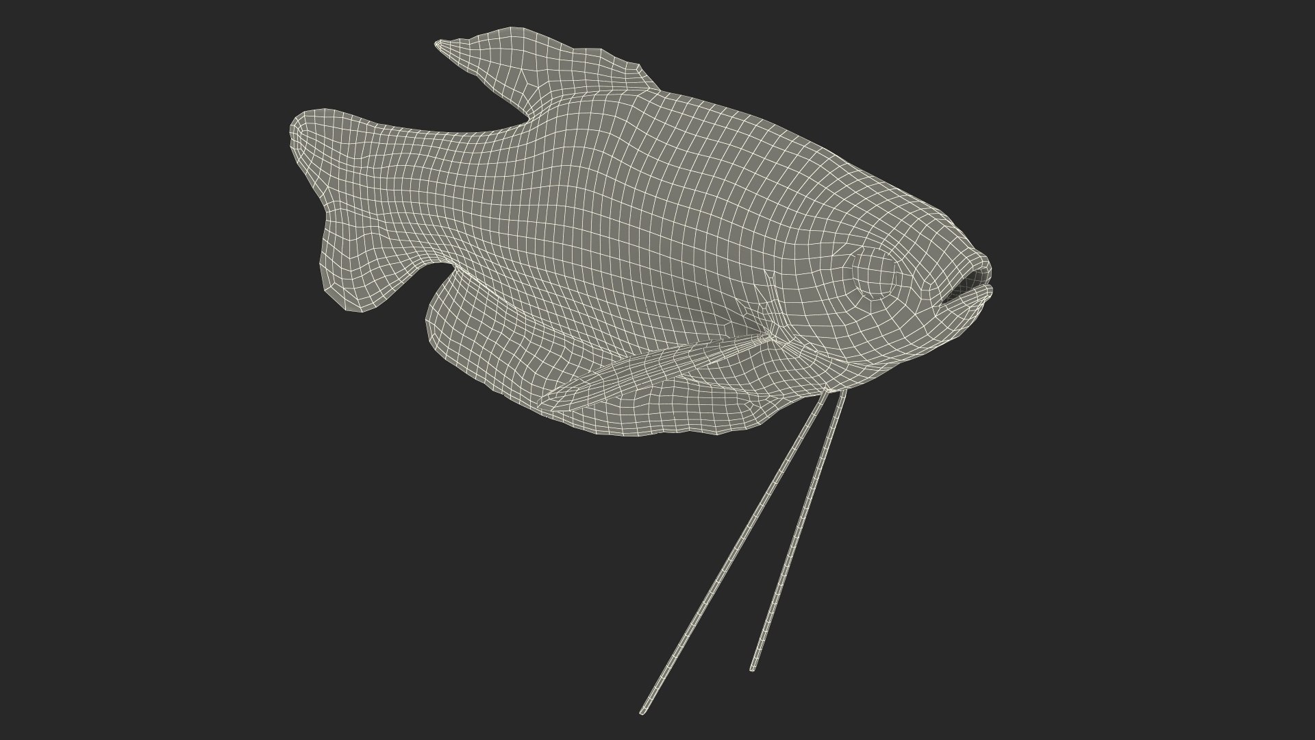Aquarium Fish Collection 2 3D model https://p.turbosquid.com/ts-thumb/Z5/wUnxAk/t8/aquarium_fish_collection_2_140/jpg/1770125503/1920x1080/fit_q87/caf83e56eee945a7410c234f411c0acc6153f436/aquarium_fish_collection_2_140.jpg