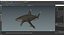3D Carcharhinus Longimanus Shark model