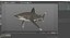 3D Carcharhinus Longimanus Shark model