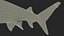 3D Carcharhinus Longimanus Shark model