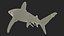 3D Carcharhinus Longimanus Shark model