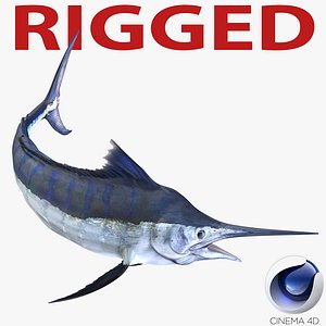 blue marlin rigged 3d model