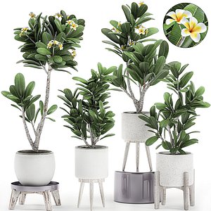 3D decorative interior white pots