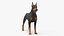 Kollektion großer Hunde