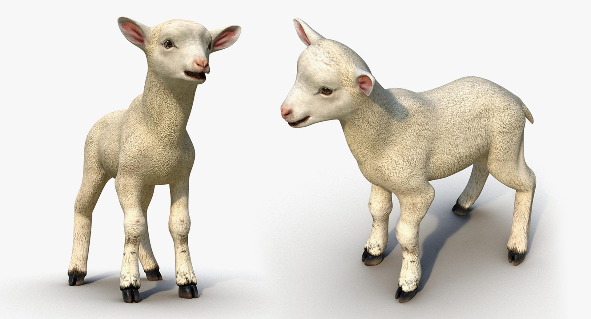 3D Farm Animals Big Collection 5 https://p.turbosquid.com/ts-thumb/Z6/VynIw8/1o/farm_animals_big_collection_5_076/jpg/1768982768/1920x1080/fit_q87/8cc75a5a082d4dfd8b732be6ef3c462590a92706/farm_animals_big_collection_5_076.jpg