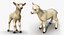 Animali da fattoria Grande collezione 5