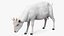Animali da fattoria Grande collezione 5