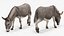 Animali da fattoria Grande collezione 5