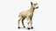 Animali da fattoria Grande collezione 5