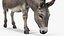 Animali da fattoria Grande collezione 5