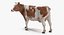 Animali da fattoria Grande collezione 5