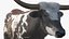 Animali da fattoria Grande collezione 5