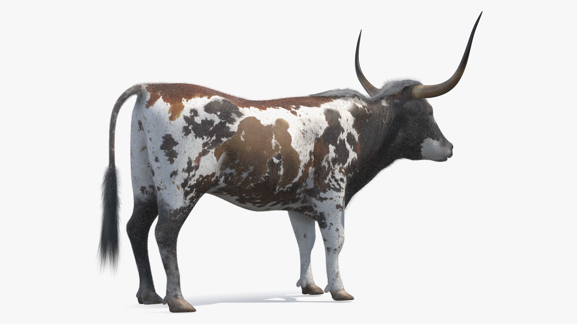 3D Farm Animals Big Collection 5 https://p.turbosquid.com/ts-thumb/Z6/VynIw8/QG/farm_animals_big_collection_5_004/jpg/1768982730/1920x1080/fit_q87/73141ce750cec944363764a231ec39cae1213c42/farm_animals_big_collection_5_004.jpg