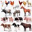 Animali da fattoria Grande collezione 5