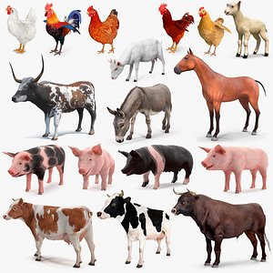 Farm Animals Big Collection 5